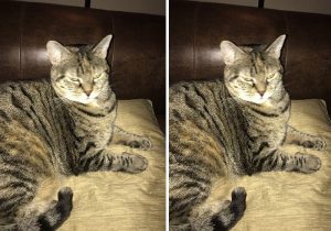 before-after-called-good-boy-3-5860c748a77ff__700