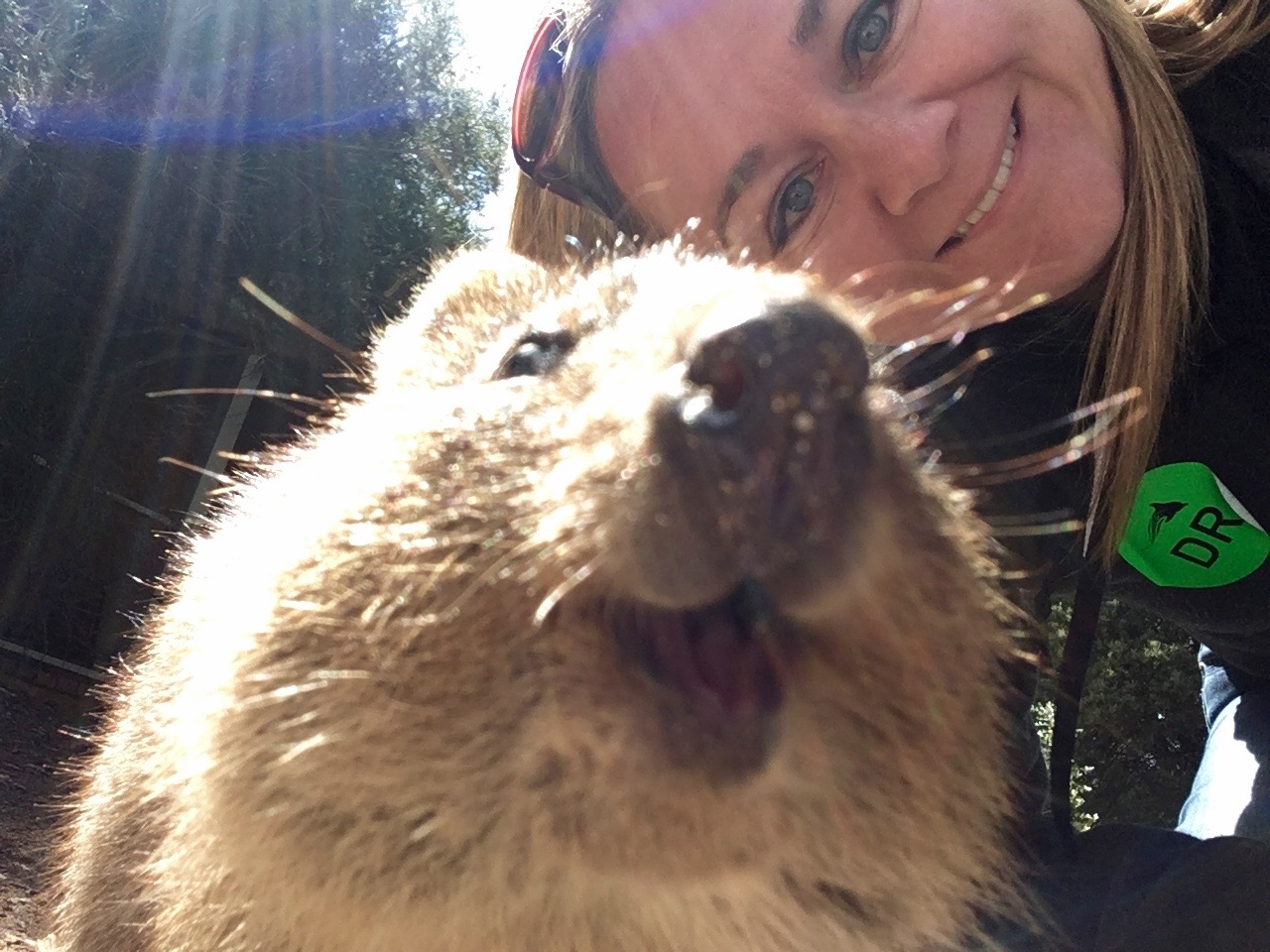 Quokka_selfie