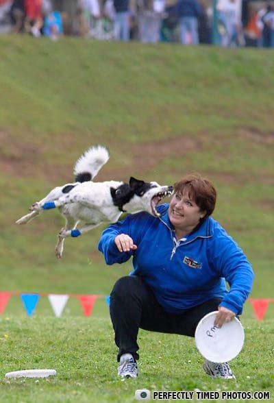 Perfectly Timed Photos 