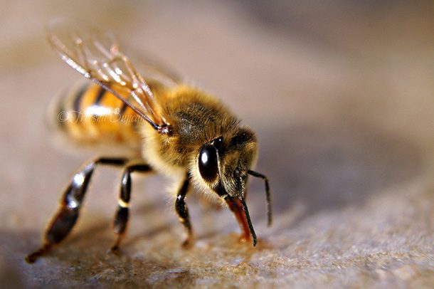 10 úžasných faktov, ktoré budeš chcieť určite vedieť