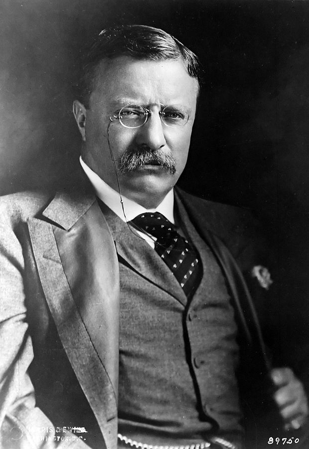 620px-TheodoreRoosevelt