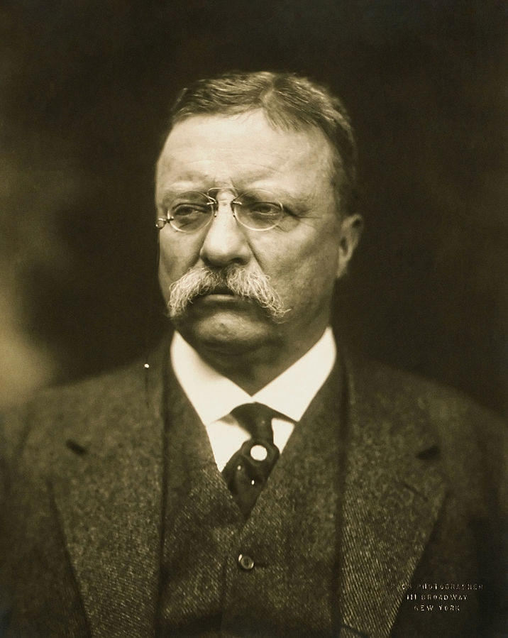 716px-T_Roosevelt