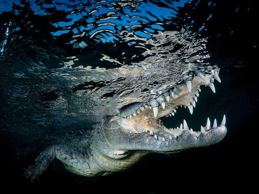 photo_contest_6