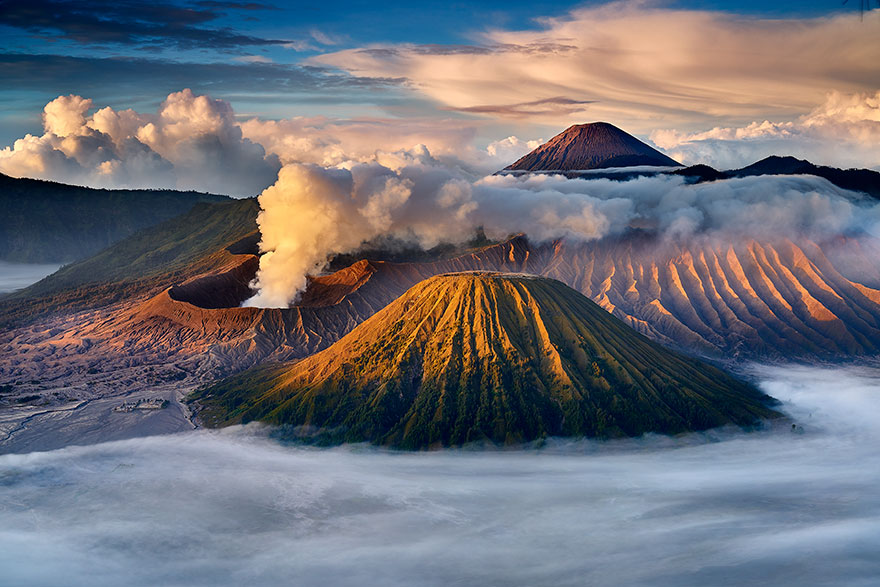 photo_contest_7