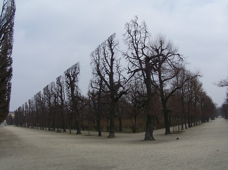 chyba_v_matrixe_5
