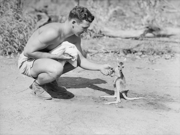 raritne_hist_foto_11