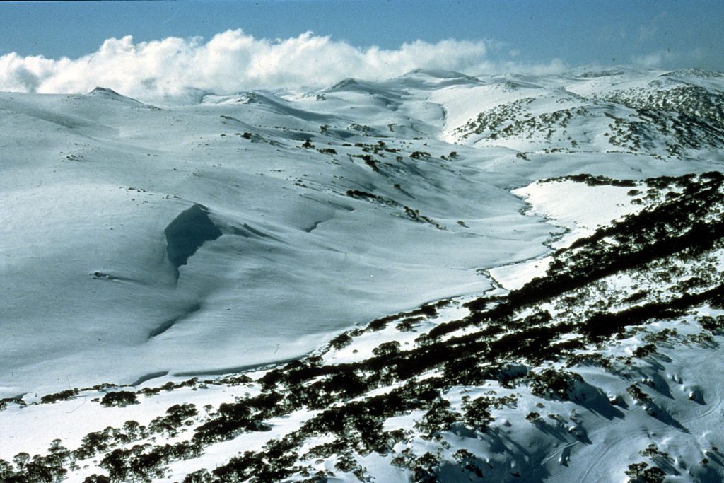 By CSIRO, CC BY 3.0, Link