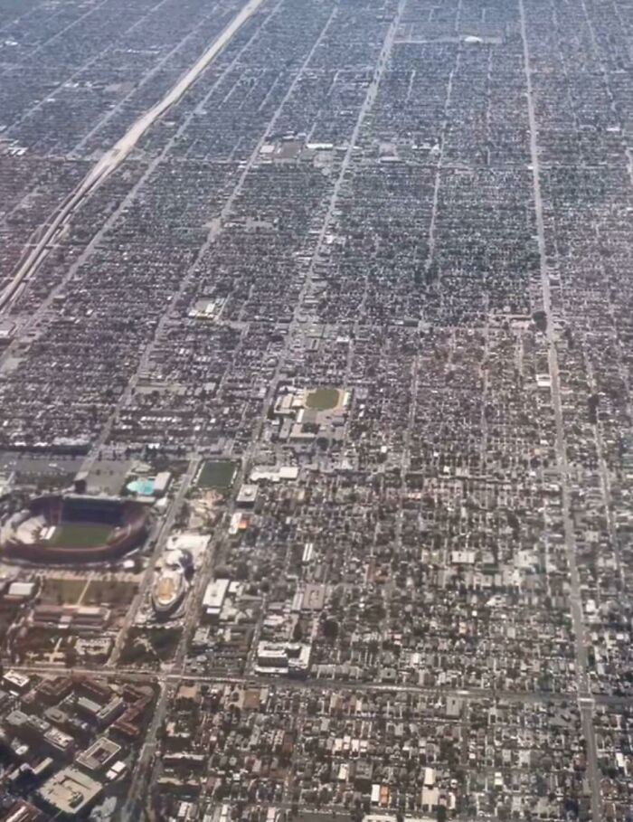 betónová džungľa