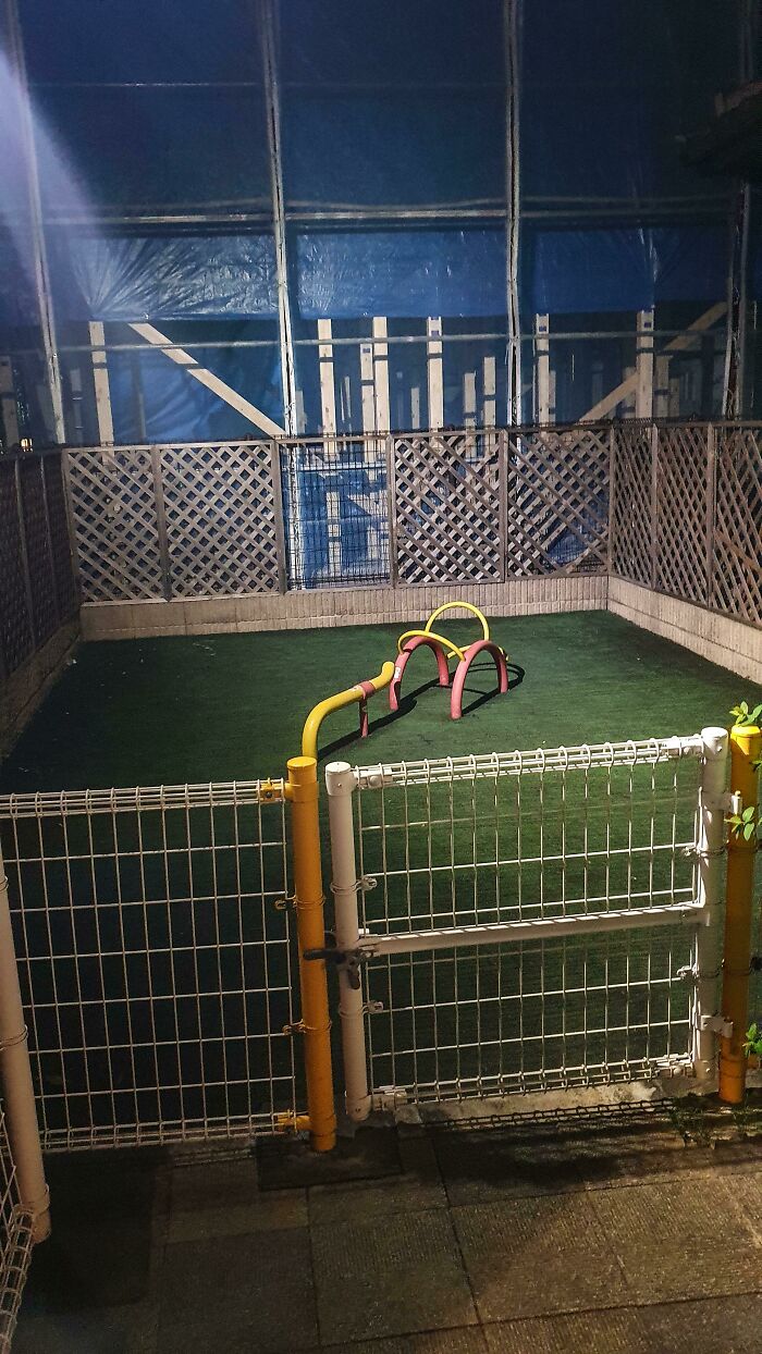 betónová džungľa