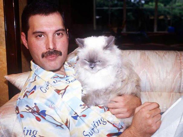 freddie mercury