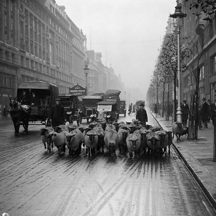 historické fotografie