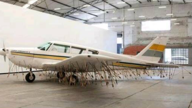 kuriózne fotografie