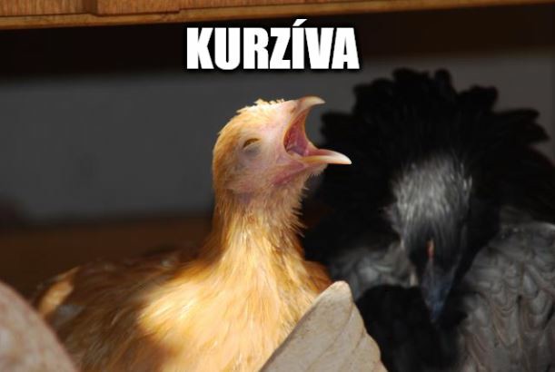 slovné hračky