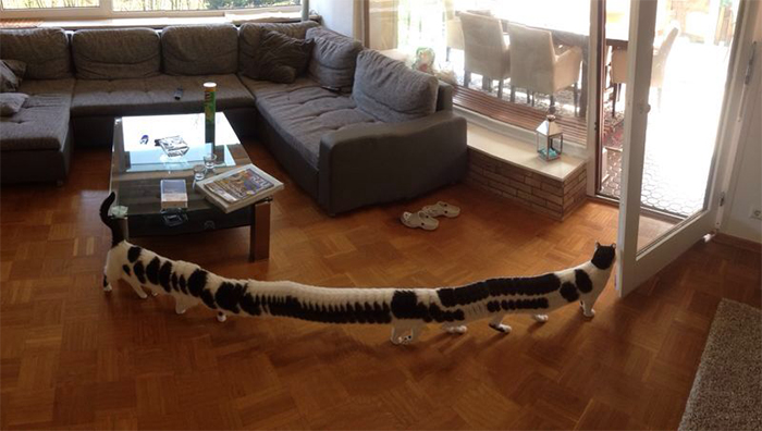 panoramatické fotografie