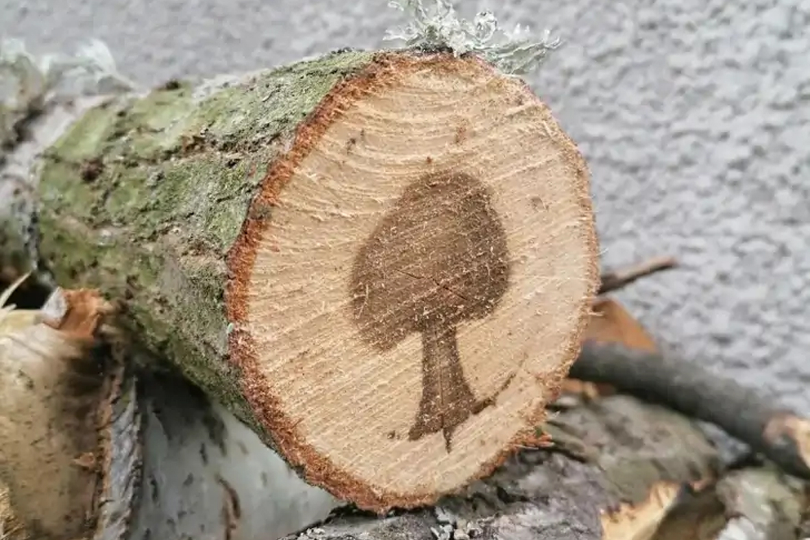 zamrznete