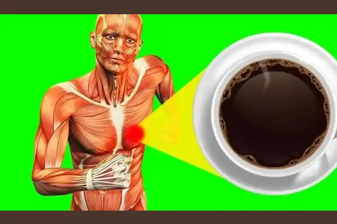 káva