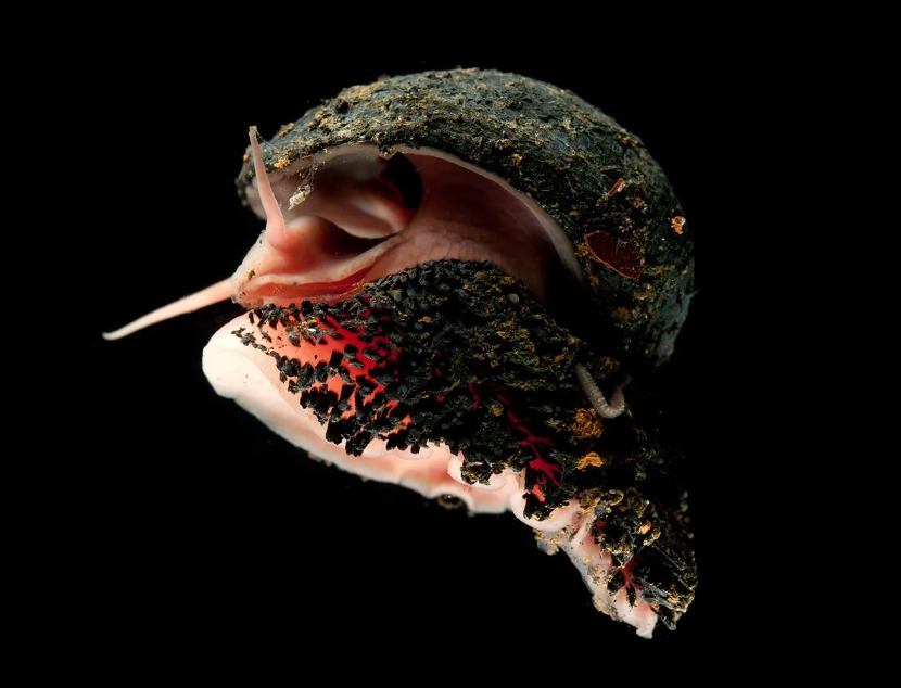 fascinujúce fotografie