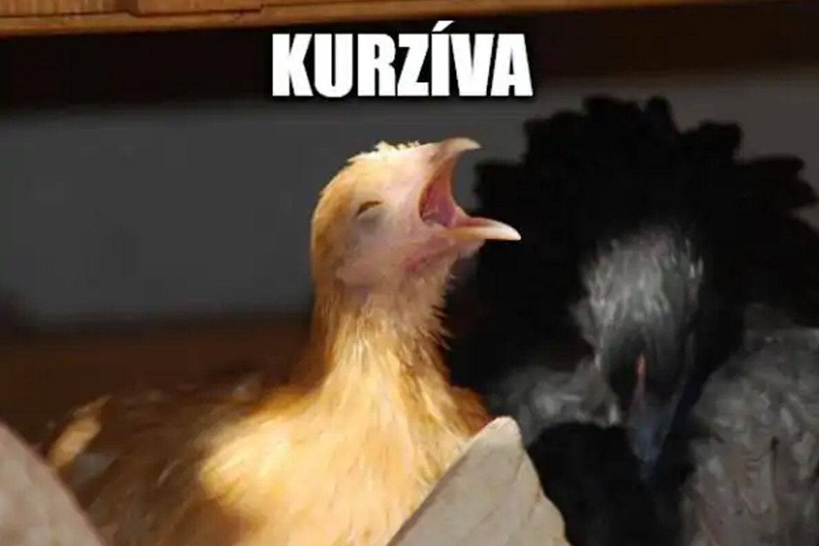 kurzíva