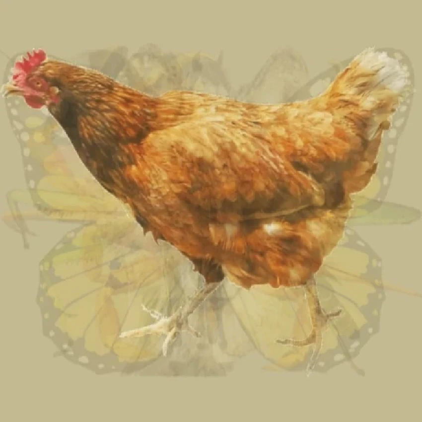 test osobnosti