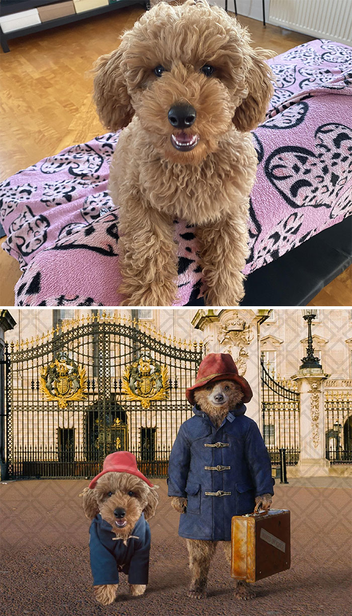 Photoshopové úpravy