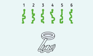 IQ test