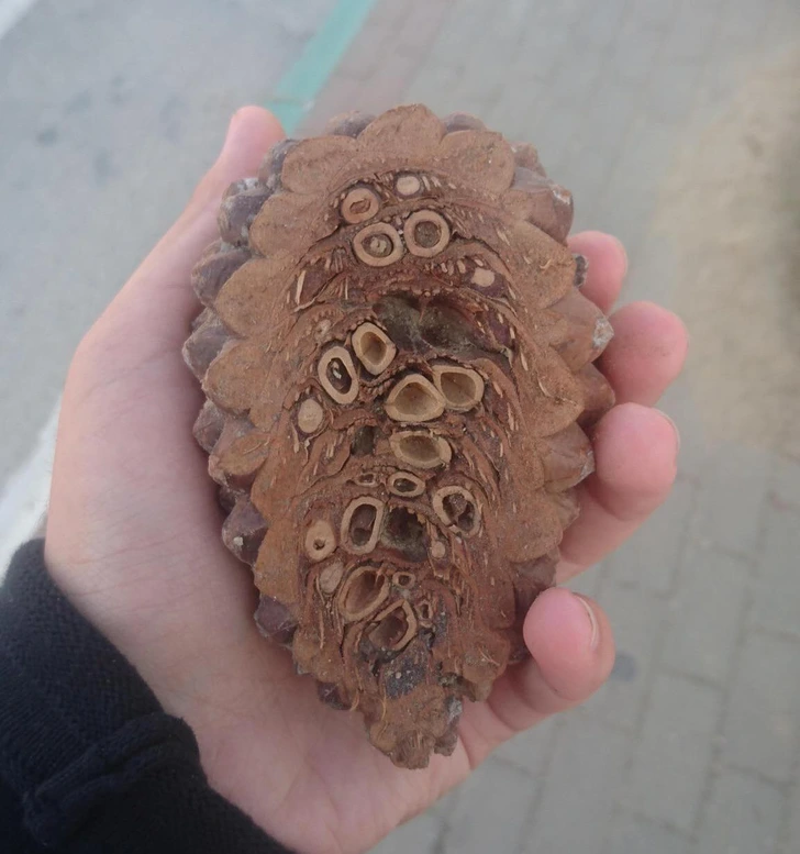 Fascinujúce pohľady