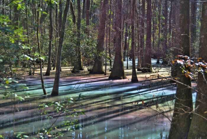 Neuveriteľné fenomény