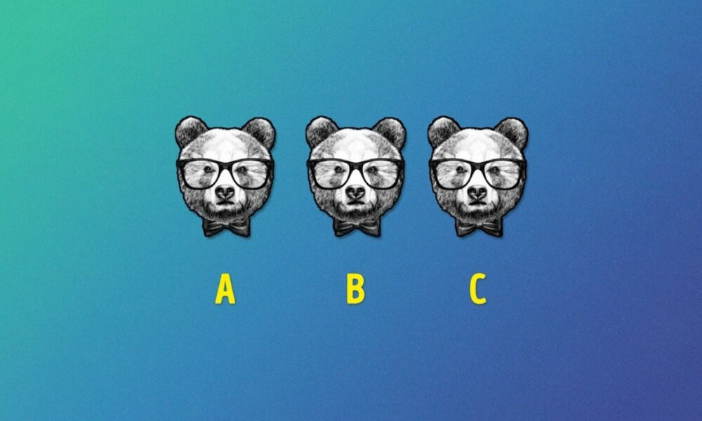 iq test