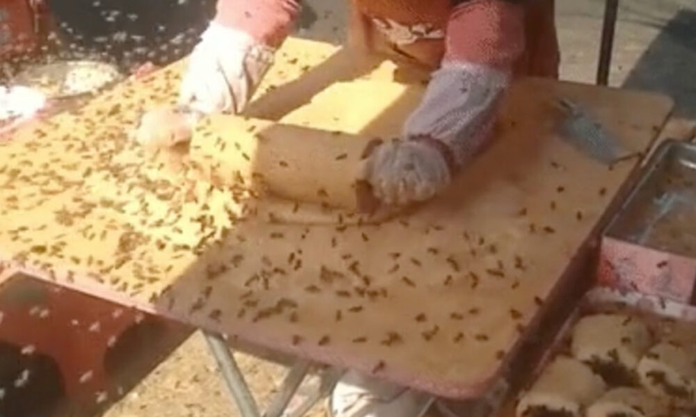 pouliční predajcovia