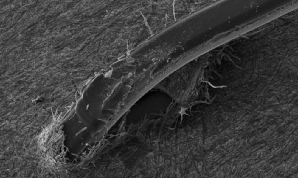 dychberúce fotografie