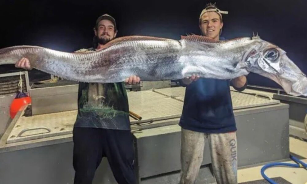 fascinujúce fotografie