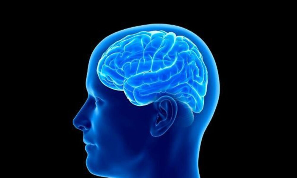 Ľudská psychológia