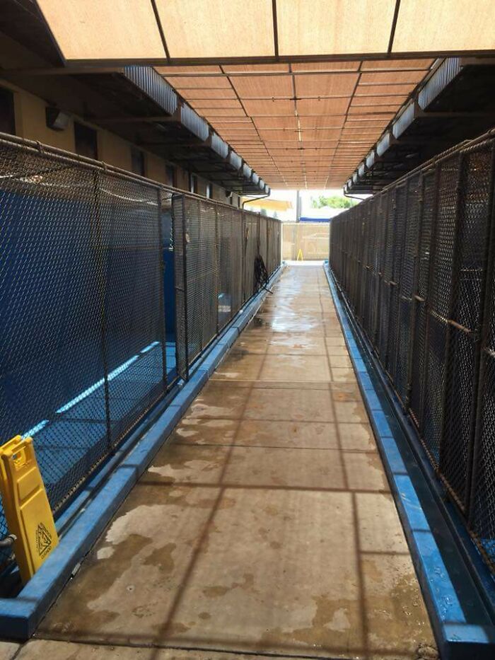 Neuveriteľné fotografie