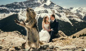 svadobné fotografie