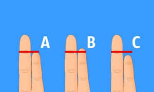 test osobnosti