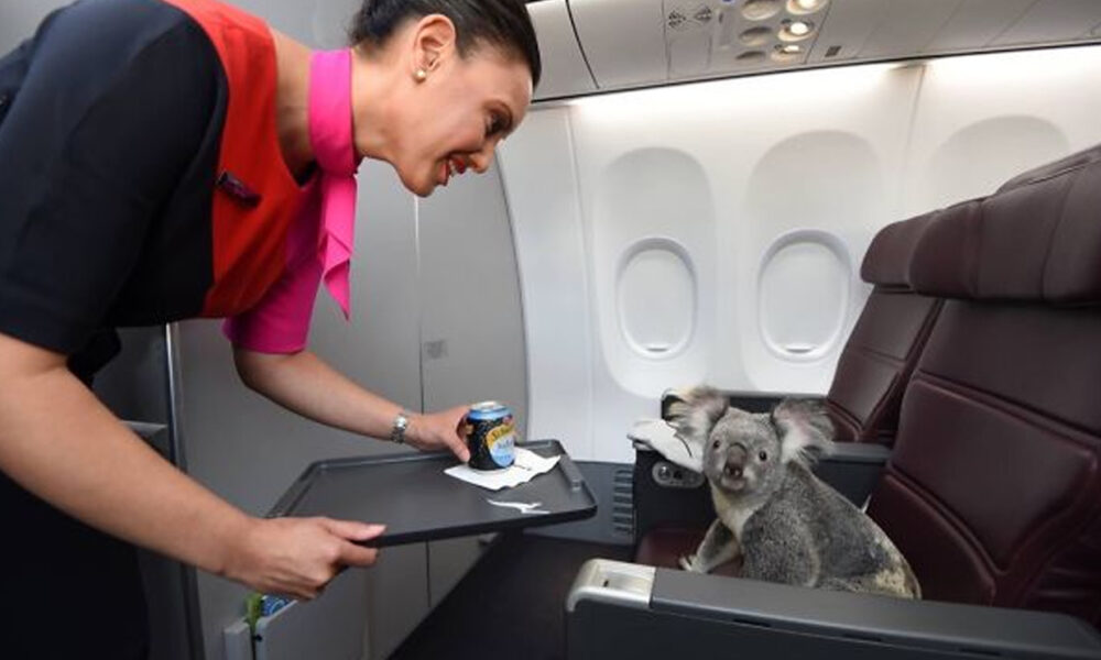 zvláštni cestujúci