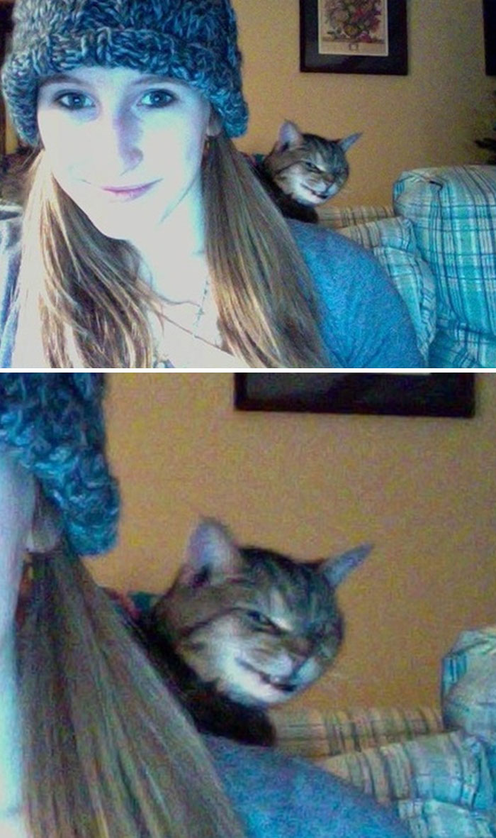 Domáci miláčikovia