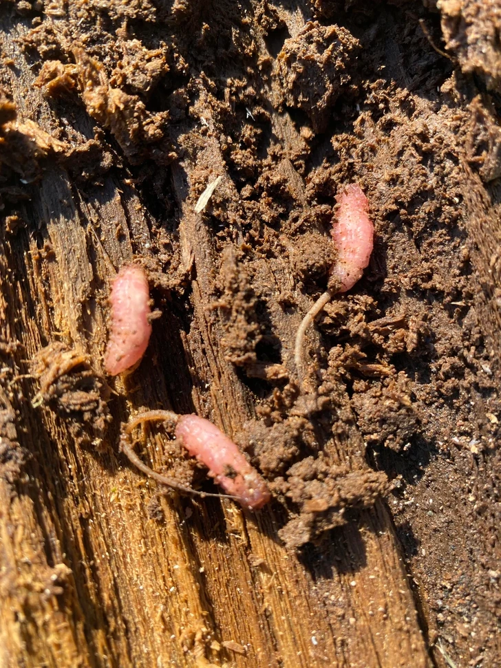 najstrašidelnejšie veci