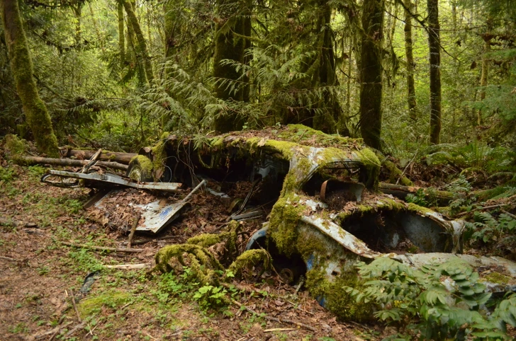 najstrašidelnejšie veci