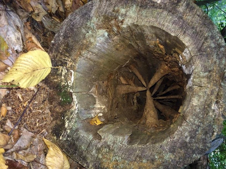 najstrašidelnejšie veci