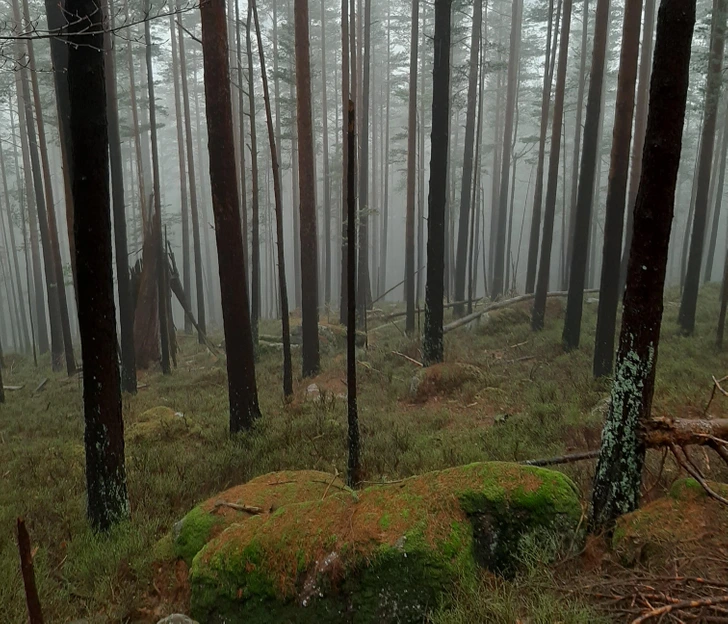 najstrašidelnejšie veci