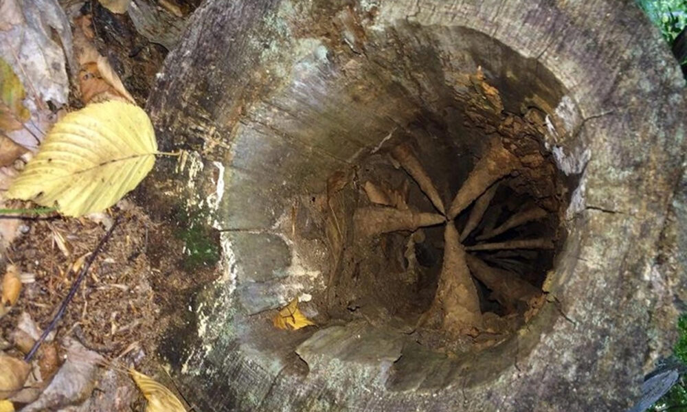 najstrašidelnejšie veci