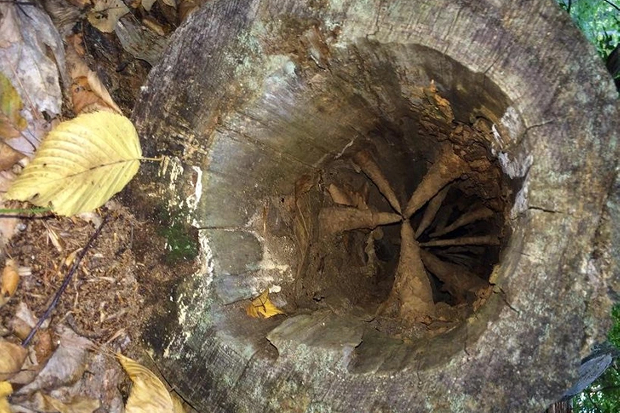 najstrašidelnejšie veci