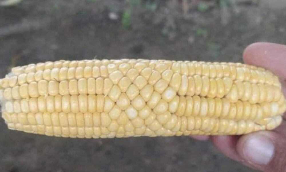 fascinujúce fotografie