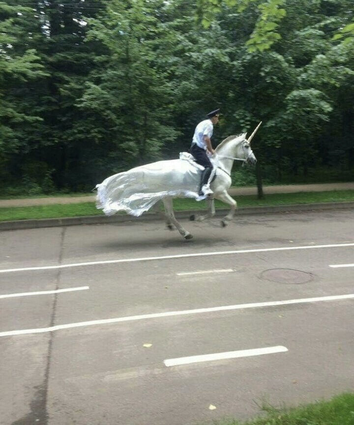 Nečakané fotografie