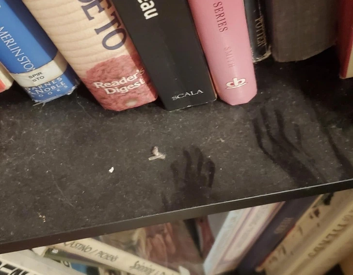 Neuveriteľné zábery