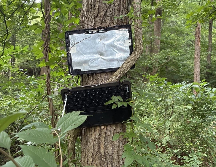 Neuveriteľné zábery