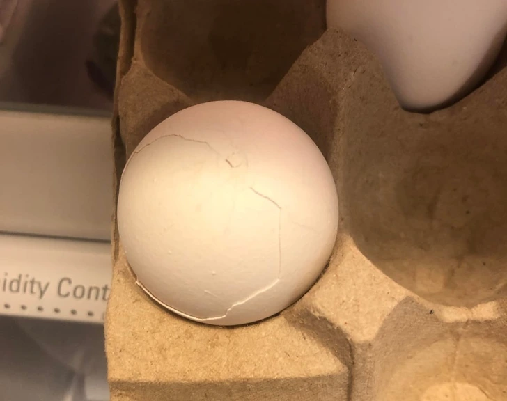 Neuveriteľné zábery