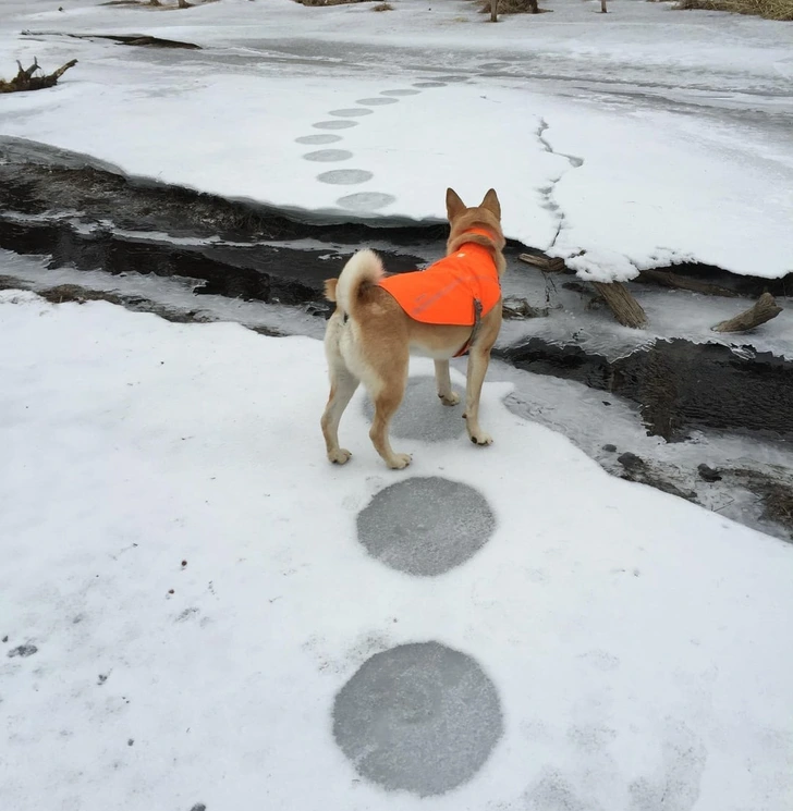 Neuveriteľné zábery