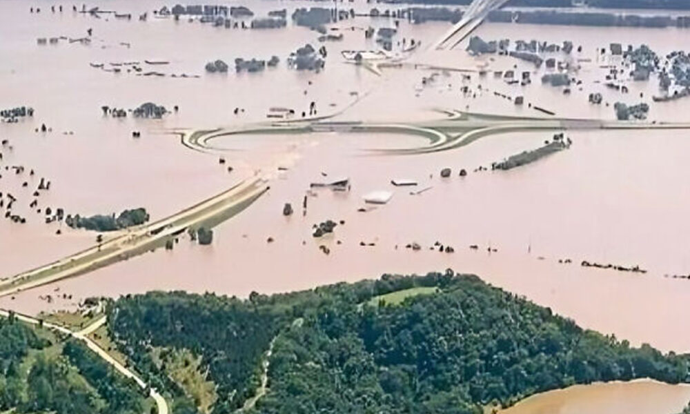 skutočné fotografie